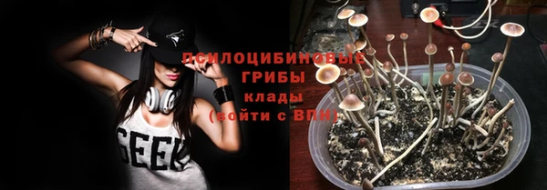 таблы Дмитровск