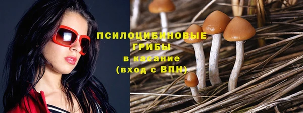 таблы Дмитровск