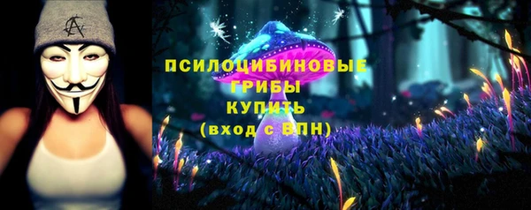 таблы Дмитровск