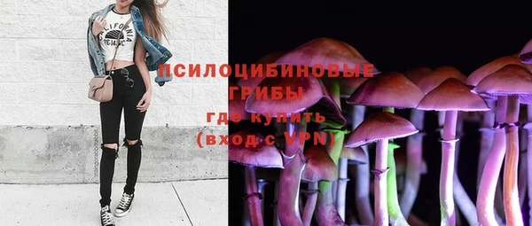 таблы Дмитровск